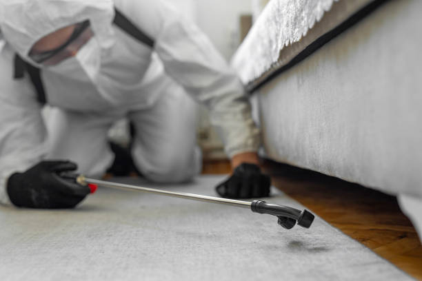 Professional Cockroach Control technician working in Washington County County, OK